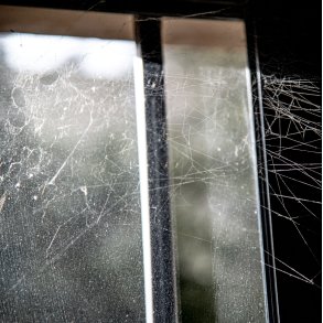 Tilvalg - Affejning af spindelvv